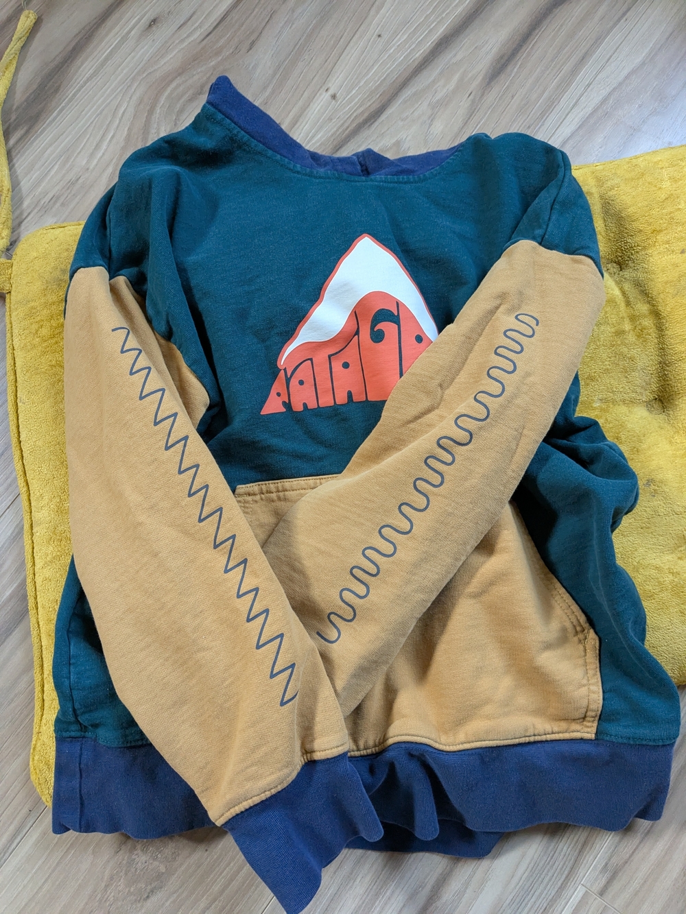 Patagonia Kids Hoodie
